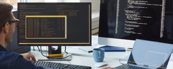 expert en informatique