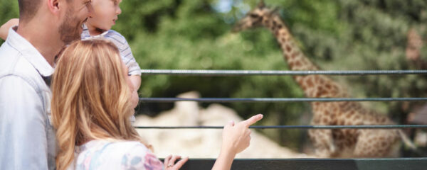 Les parcs animaliers