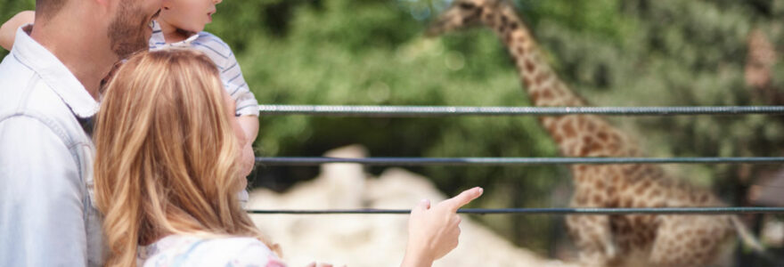 Les parcs animaliers