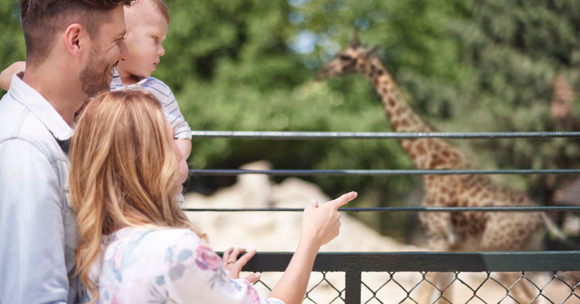 Les parcs animaliers
